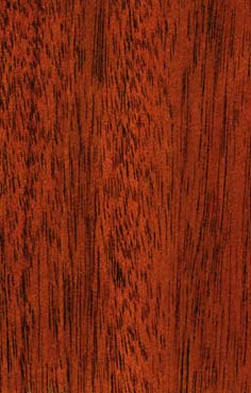 African mahogany